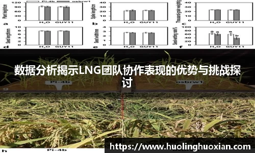数据分析揭示LNG团队协作表现的优势与挑战探讨