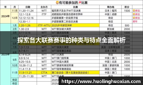 探索各大联赛赛事的种类与特点全面解析