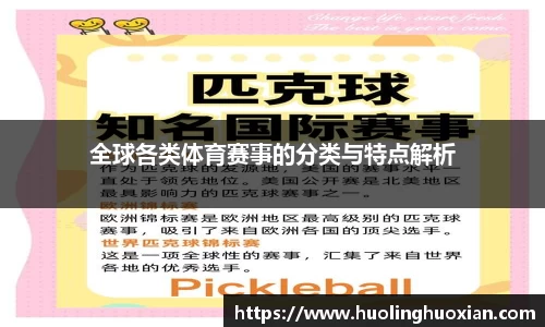 全球各类体育赛事的分类与特点解析