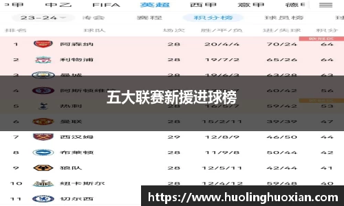 五大联赛新援进球榜