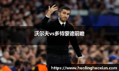 沃尔夫vs多特蒙德前瞻