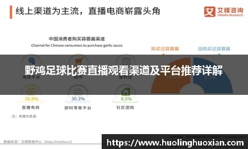 野鸡足球比赛直播观看渠道及平台推荐详解