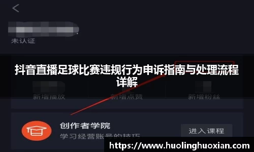 抖音直播足球比赛违规行为申诉指南与处理流程详解