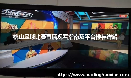 桃山足球比赛直播观看指南及平台推荐详解