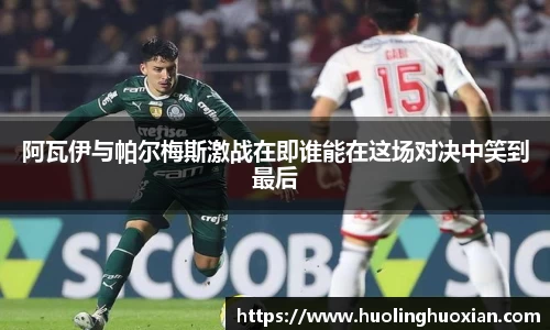 阿瓦伊与帕尔梅斯激战在即谁能在这场对决中笑到最后