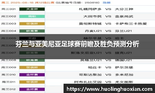 芬兰与亚美尼亚足球赛前瞻及胜负预测分析